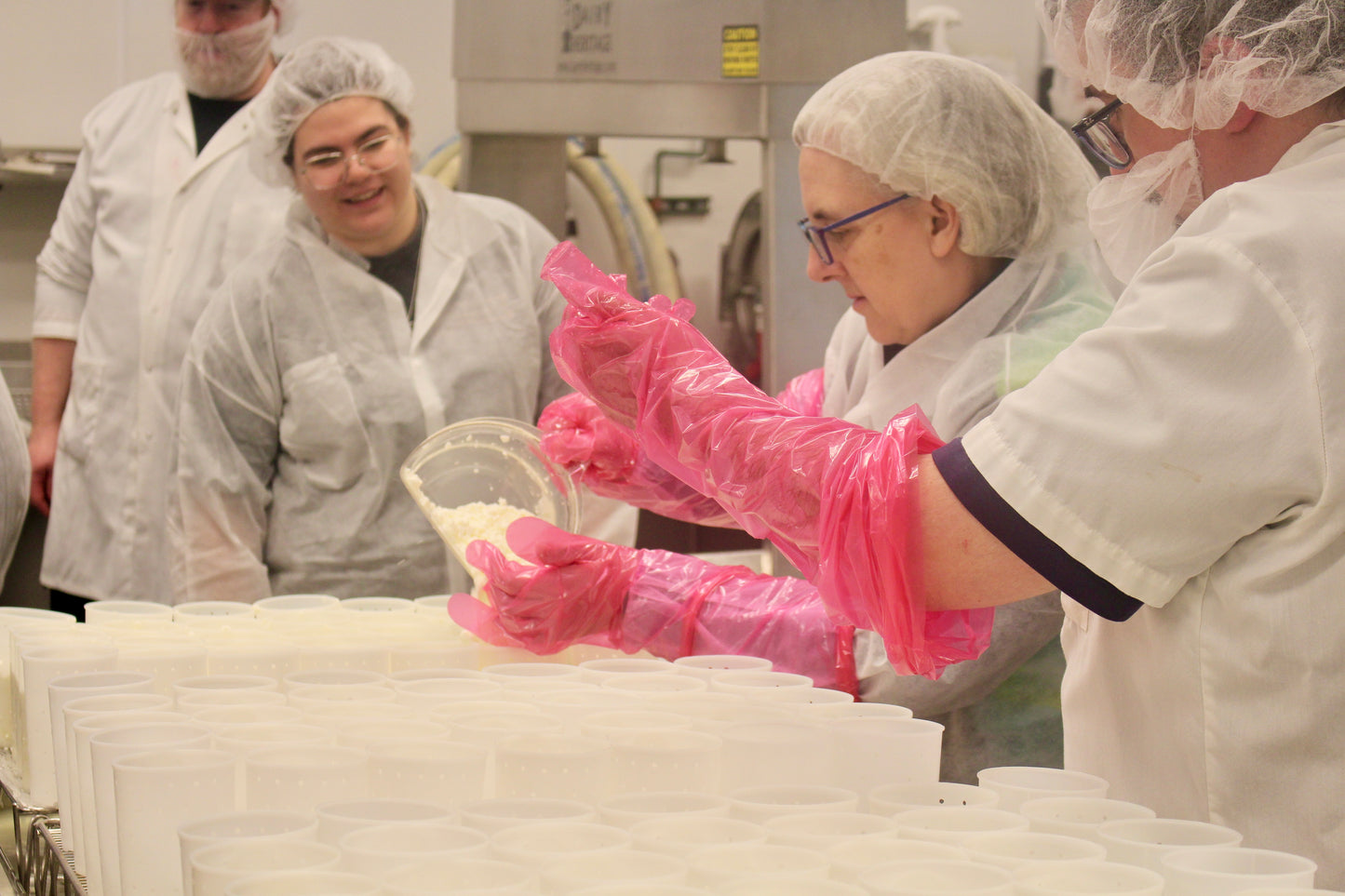 Artisan Cheesemaking Short Course - Fall 2026