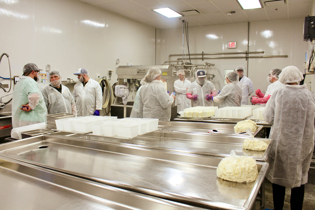 A Look Inside Our Artisan Cheesemaking Short Course