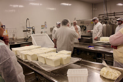 Artisan Cheesemaking Short Course - Summer 2026