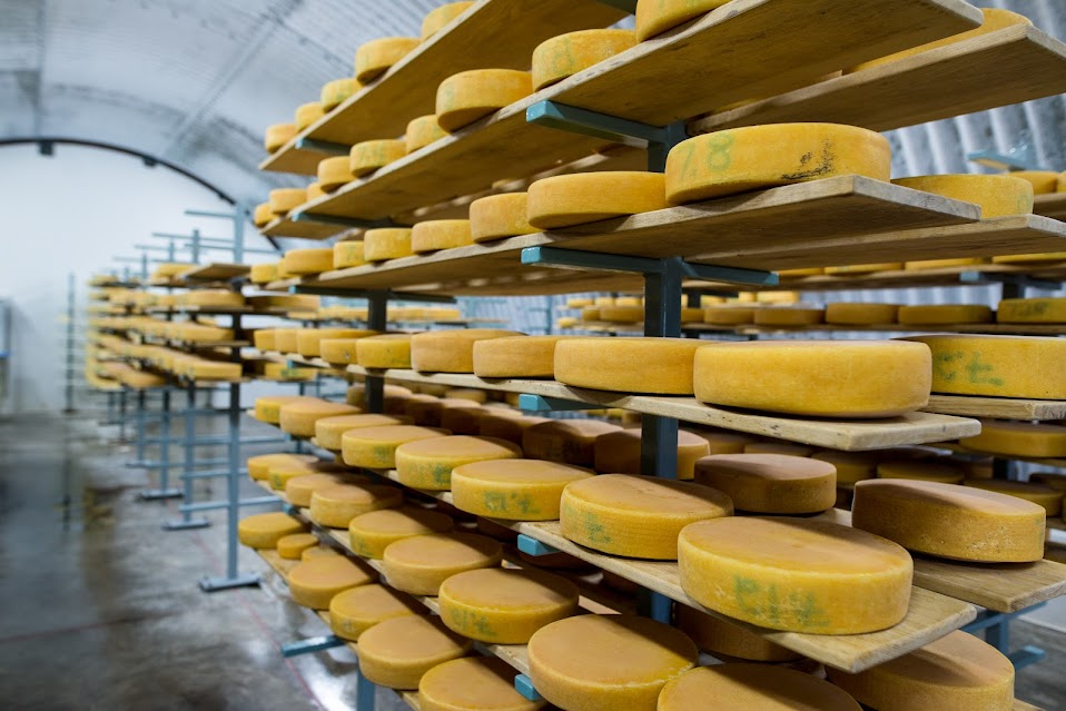 Welcome to the Michigan Cheese and Dairy Guild – Michigan Cheese ...